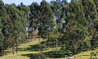 Imagem 4: Sítio/Fazenda à Venda, 119,5 alqueires por R$ 30.000.000 Cód. ch2310