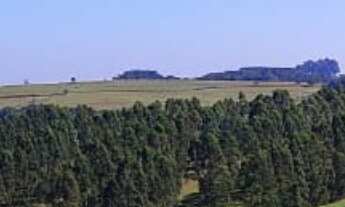 Imagem 7: Sítio/Fazenda à Venda, 119,5 alqueires por R$ 30.000.000 Cód. ch2310