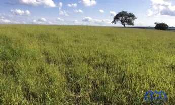 Imagem 6: Sítio/Fazenda à Venda, 100 alqueires por R$ 11.000.000 Cód. ch2296