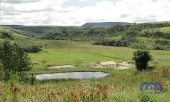 Imagem: Sítio/Fazenda à Venda, 100 alqueires por