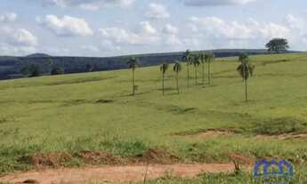 Imagem 5: Sítio/Fazenda à Venda, 100 alqueires por R$ 11.000.000 Cód. ch2296