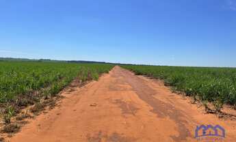 Imagem 5: Sítio/Fazenda à Venda, 380 alqueires por R$ 55.110.000 Cód. ch2311