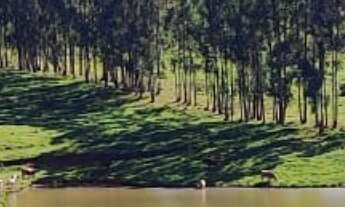 Imagem 5: Sítio/Fazenda à Venda, 119,5 alqueires por R$ 30.000.000 Cód. ch2310