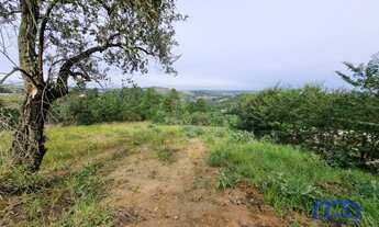 Imagem: Lote/Terreno à Venda, 1.000 m² por R$