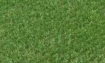 Imagem: Sítio/Fazenda à Venda, 380 alqueires por