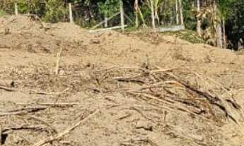 Imagem: Lotes/Terrenos à Venda, 1.000 m² por R$