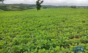 Imagem: Sítio/Fazenda à Venda, 20 alqueires por