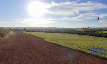 Imagem 2: Sitio/Fazenda à Venda, 11 alqueires por R$ 2.500.000 Cód. ch2374