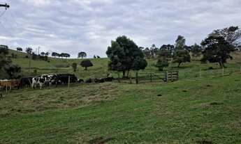 Imagem 5: Sítio/Fazenda à Venda, 36 alqueires por R$ 7.500.000 Cód. ch2336