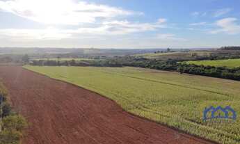 Imagem: Sitio/Fazenda à Venda, 11 alqueires por