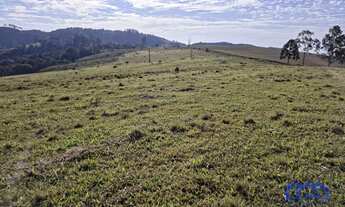 Imagem 5: Sítio/Fazenda à Venda, 70,49 alqueires por R$ 10.000.000 Cód. ch2385