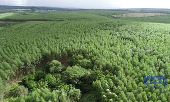 Imagem: Sítio/Fazenda à Venda, 98,7 alqueires