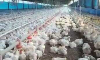 Imagem 3: FAZENDA RURAL em SOROCABA - SP, ÁREA RURAL DE SOROCABA