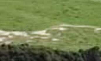 Imagem 6: Sítio/Fazenda à Venda, 7 alqueires por R$ 3.000.000 Cód. ch2342