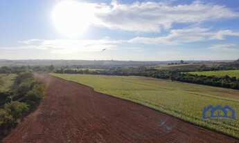 Imagem 3: Sitio/Fazenda à Venda, 11 alqueires por R$ 2.500.000 Cód. ch2374