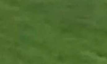 Imagem: Sitio/Fazenda à Venda, 128 alqueires por