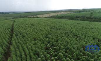 Imagem 5: Sítio/Fazenda à Venda, 98,7 alqueires por R$ 25.000.000 Cód. ch2323