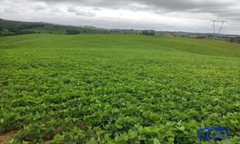 Imagem 5: Sítio/Fazenda à Venda, 20 alqueires por R$ 4.500.000 Cód. ch2325