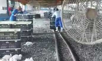 Imagem 5: FAZENDA RURAL em SOROCABA - SP, ÁREA RURAL DE SOROCABA