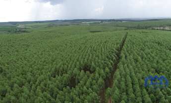 Imagem 7: Sítio/Fazenda à Venda, 98,7 alqueires por R$ 25.000.000 Cód. ch2323