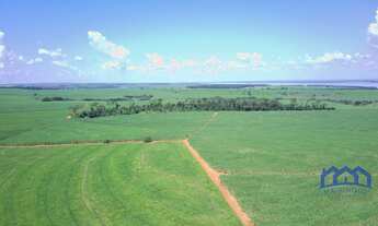 Imagem 3: Sitio/Fazenda à Venda, 203 alqueires por R$ 40.600.000 Cód. ch2359