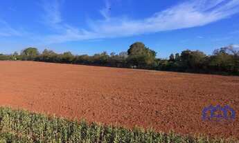 Imagem 7: Sitio/Fazenda à Venda, 11 alqueires por R$ 2.500.000 Cód. ch2374