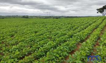 Imagem 3: Sítio/Fazenda à Venda, 20 alqueires por R$ 4.500.000 Cód. ch2325