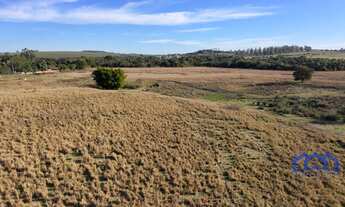 Imagem 5: Sitio/Fazenda à Venda, 25 alqueires por R$ 10.000.000 Cód. ch2370