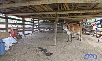 Imagem 7: Sítio/Fazenda à Venda, 36 alqueires por R$ 7.500.000 Cód. ch2336