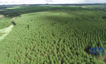 Imagem 4: Sítio/Fazenda à Venda, 98,7 alqueires por R$ 25.000.000 Cód. ch2323