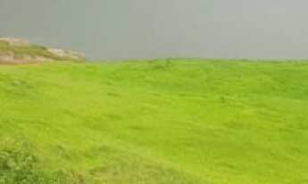 Imagem 1: Sitio/Fazenda à Venda, 314 alqueires por R$ 45.000.000 Cód. ch2364