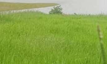 Imagem 3: Sitio/Fazenda à Venda, 314 alqueires por R$ 45.000.000 Cód. ch2364