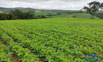 Imagem 2: Sítio/Fazenda à Venda, 20 alqueires por R$ 4.500.000 Cód. ch2325