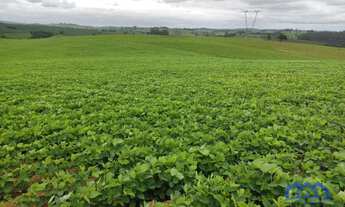 Imagem 6: Sítio/Fazenda à Venda, 20 alqueires por R$ 4.500.000 Cód. ch2325