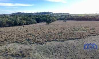 Imagem 2: Sitio/Fazenda à Venda, 25 alqueires por R$ 10.000.000 Cód. ch2370