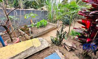 Imagem 6: CHACARA RURAL em MAIRINQUE - SP, moreiras