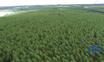 Imagem 6: Sítio/Fazenda à Venda, 98,7 alqueires por R$ 25.000.000 Cód. ch2323