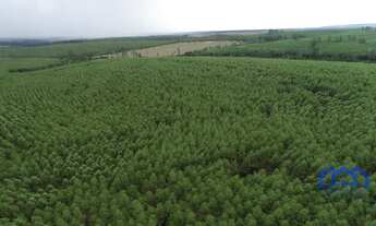 Imagem 3: Sítio/Fazenda à Venda, 98,7 alqueires por R$ 25.000.000 Cód. ch2323