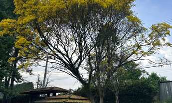 Imagem 4: Chácara com 4 Quartos e 5 banheiros À Venda, 4.520 m² por R$ 800.000 Cód. ch2387