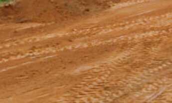 Imagem: Lote/Terreno à Venda, 1.000 m² por R$