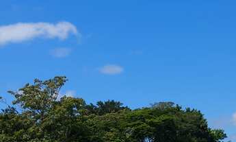 Imagem 3: Sitio/Fazenda à Venda, 8 alqueires por R$ 2.200.000 Cód. ch2410