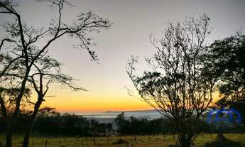 Imagem 2: Sitio/Fazenda à Venda, 8 alqueires por R$ 2.200.000 Cód. ch2410