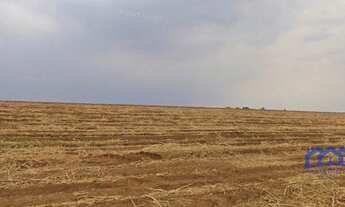 Imagem: Sítio/Fazenda à Venda, 160 alqueires por