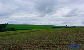 Imagem: Sitio/Fazenda à Venda, 115 alqueires por