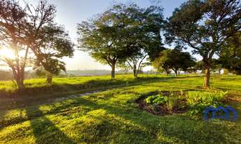 Imagem: Sitio/Fazenda à Venda, 8 alqueires por