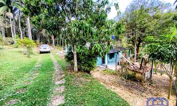 Imagem: CHACARA RURAL em MAIRINQUE - SP, moreiras