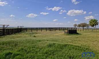 Imagem 7: Haras à Venda, 42 alqueires por R$ 25.000.000 Cód. ch2442