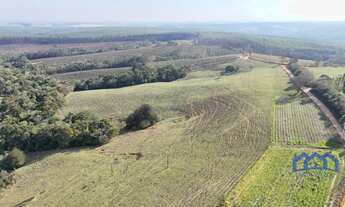 Imagem: Sítio/Fazenda à Venda, 24,72 alqueires