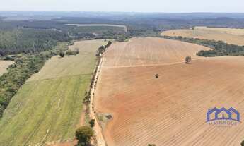 Imagem: Sítio/Fazenda à Venda, 53 alqueires por