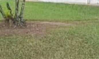 Imagem 6: Sítio com 8 Quartos e 8 banheiros à Venda, 68.000 m² por R$ 3.300.000 Cód. ch2433